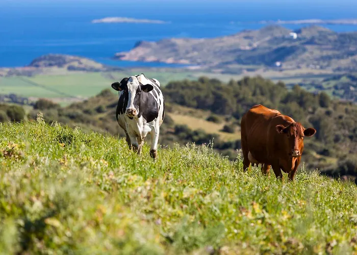 Cala Porter Soleil & Collection * Cala En Porter (Menorca)